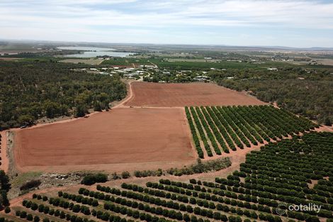 230 Slopes Rd, Tharbogang, NSW 2680