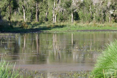 400 Phillips Swamp Rd, Busbys Flat, NSW 2469