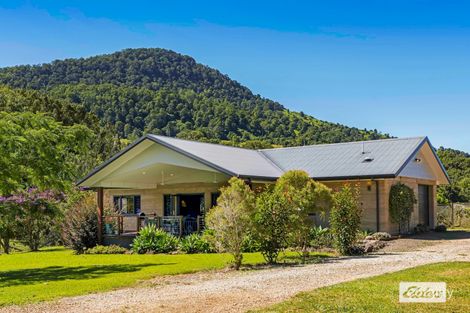 Property photo of 233 Limpinwood Valley Road Limpinwood NSW 2484