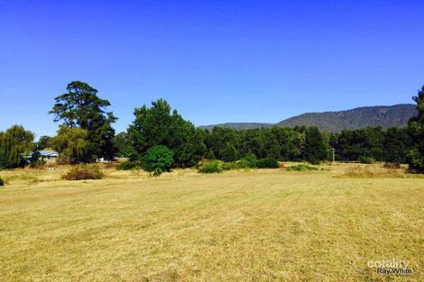 6162 Araluen Rd, Araluen, NSW 2622