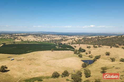 Property photo of 161 Tower Road Pewsey Vale SA 5351