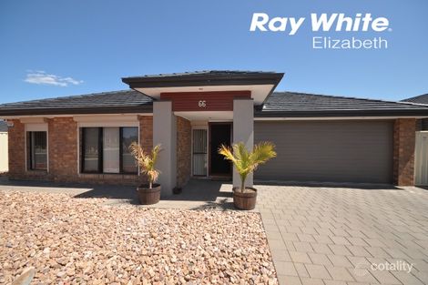 Property photo of 66 Admiralty Circuit Smithfield SA 5114