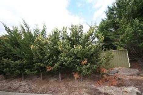 8 Sarepta Ct, Flagstaff Hill, SA 5159