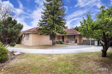 Property photo of 14 Morawa Avenue Gilles Plains SA 5086