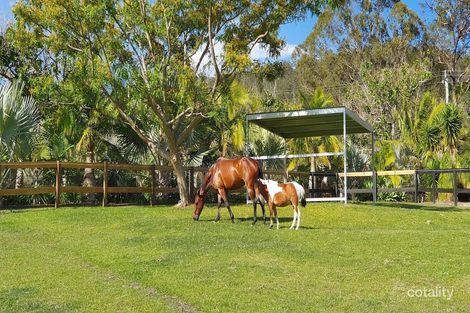 Property photo of 228 Clagiraba Road Mount Nathan QLD 4211