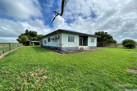 Property photo of 47 Brosnan Road Lower Tully QLD 4854