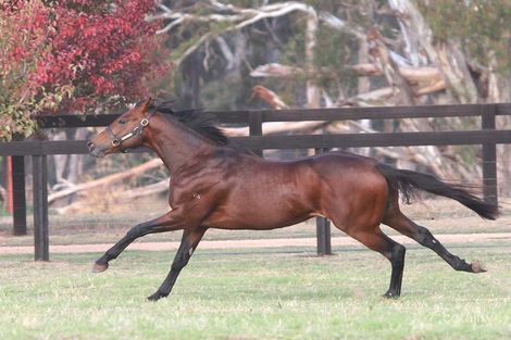 Property photo of 110 Day Road Murchison VIC 3610