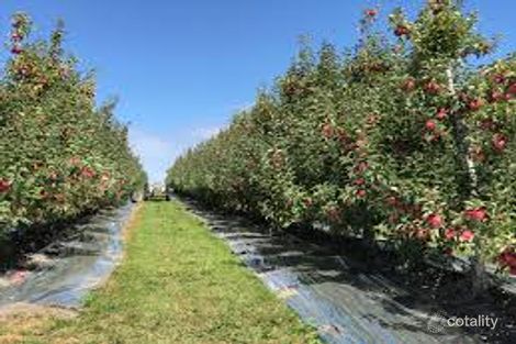 135 Hill Rd, Lemnos, VIC 3631