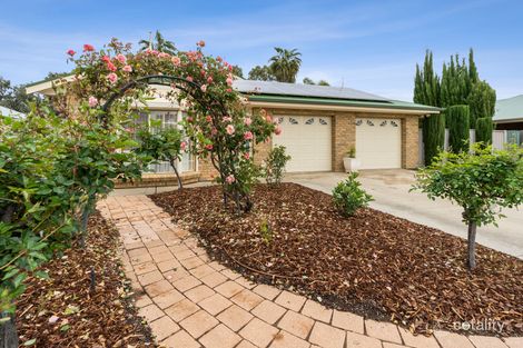 Property photo of 11 Meander Avenue Renmark SA 5341