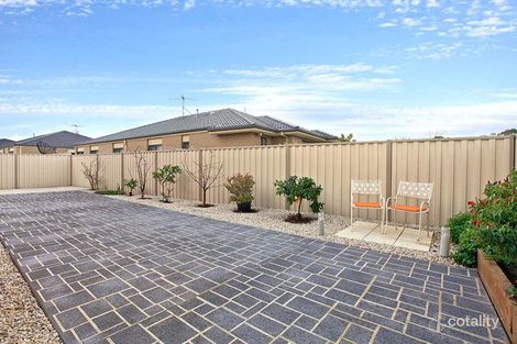 Property photo of 17 Billy Buttons Avenue Cairnlea VIC 3023