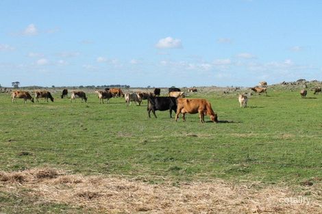 922 South Dreeite Rd, Dreeite, VIC 3249