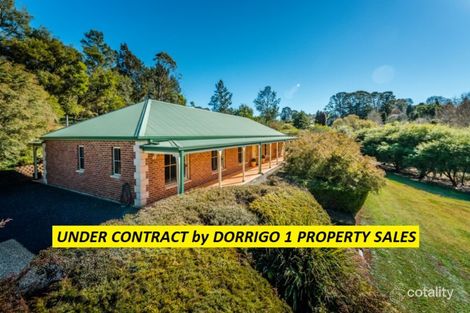 Property photo of 4 Elm Avenue Dorrigo NSW 2453
