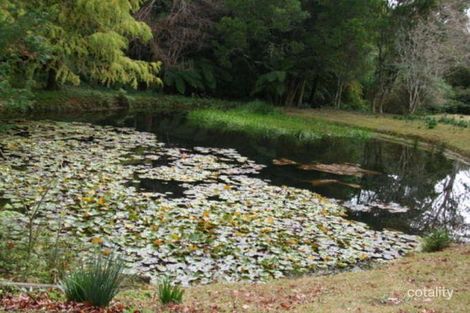 Property photo of 2756 Springbrook Road Springbrook QLD 4213