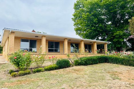 400 Batlow Rd, Tumbarumba, NSW 2653