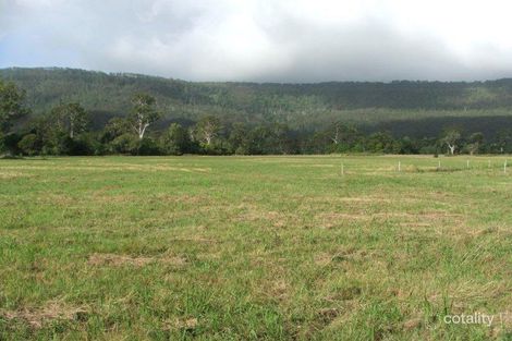 368 Mundoolun Connection Rd, Boyland, QLD 4275