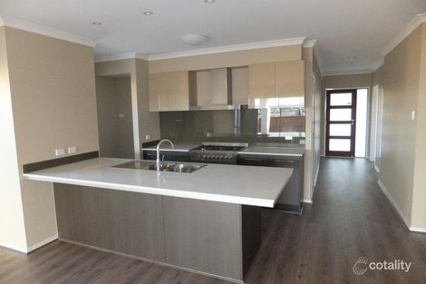 Property photo of 42 Tibouchina Street Mountain Creek QLD 4557