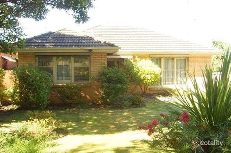 Property photo of 51 Dent Street Glen Iris VIC 3146