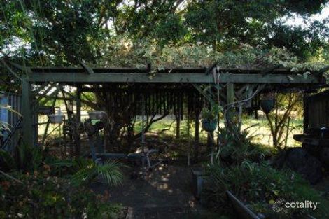 Property photo of 35 Violet Street Hemmant QLD 4174