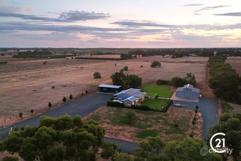 Property photo of 117 Tandarra Road Moama NSW 2731