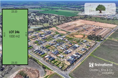 20 Honeyeater St, Moama, NSW 2731