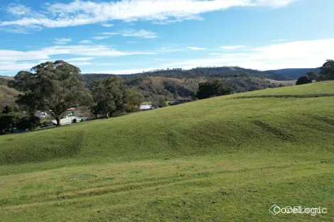 Property photo of 5630 Buchan-Orbost Road Buchan VIC 3885