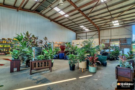 101 Jubilee St, Townsend, NSW 2463