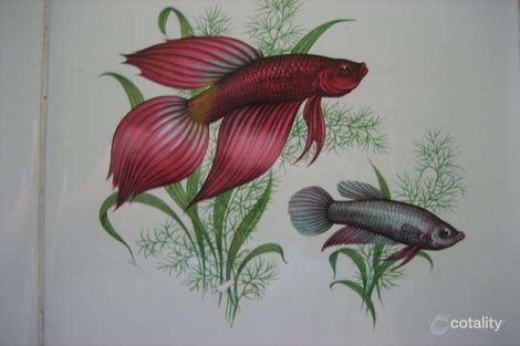 10 Bergin Rd, Innisfail Estate, QLD 4860