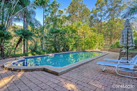 Property photo of 7 Kulan Court Mudgeeraba QLD 4213