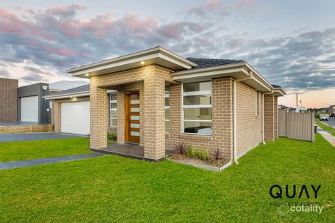 Property photo of 38 Kale Road Spring Farm NSW 2570