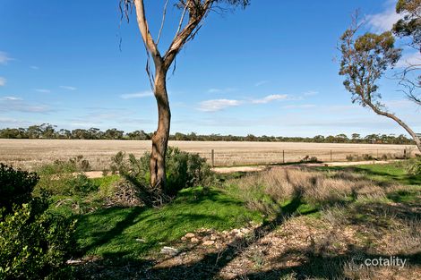 Property photo of 20 South East Terrace Owen SA 5460