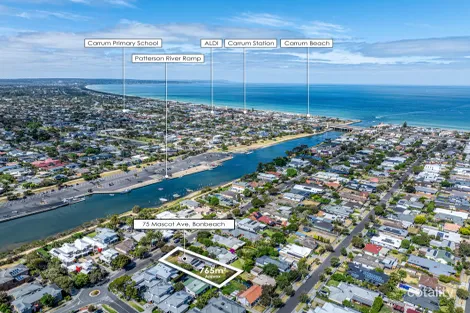 Property photo of 75 Mascot Avenue Bonbeach VIC 3196
