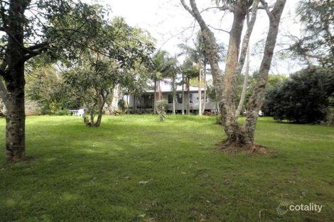 Property photo of 145 Obi Obi Road Mapleton QLD 4560