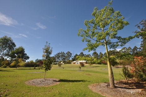 Property photo of 133 Browns Road Pemberton WA 6260