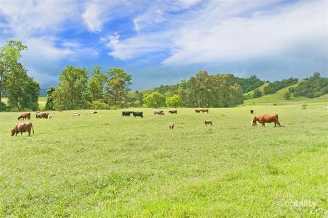 161 Greenhills Rd, Upper Taylors Arm, NSW 2447