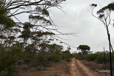 Lot 104 Cant Rd, Kimba, SA 5641