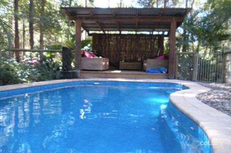 Property photo of 245 McGilchrist Road Palmwoods QLD 4555