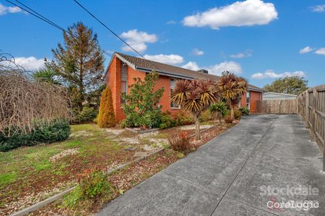 Property photo of 3 Winton Court Broadmeadows VIC 3047