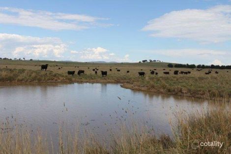 164 Baxters Lane, Wollogorang, NSW 2581