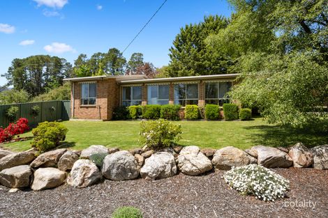 20 Mountain Ave, Mount Beauty, VIC 3699