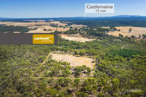 50 Galaxia Lane, Guildford, VIC 3451