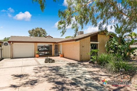 Property photo of 181 Burton Road Paralowie SA 5108