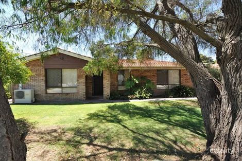 17 Salcombe Way, Warnbro, WA 6169