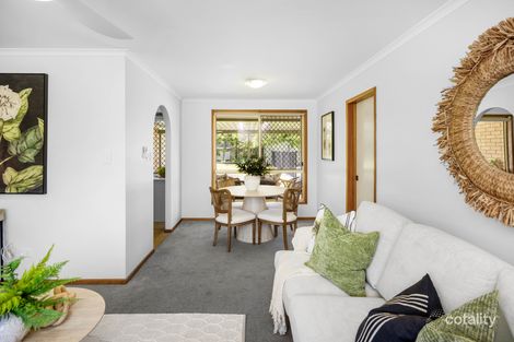 Property photo of 7 Beerburrum Street Dicky Beach QLD 4551