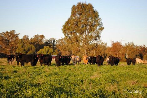 395 Munro Rd, Undera, VIC 3629