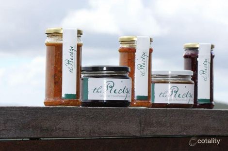 Property photo of 1/20 Gardner Street Beech Forest VIC 3237