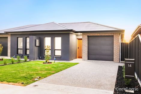 Property photo of 14 Baker Avenue Morphettville SA 5043