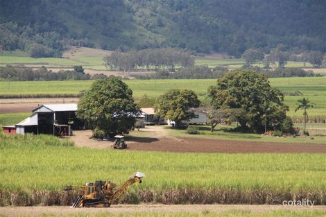 1342 Owens Creek Loop Rd, Owens Creek, QLD 4741