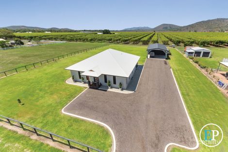 Property photo of 4 Colwell Court Alligator Creek QLD 4816