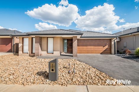 Property photo of 3 Zeus Avenue Cranbourne West VIC 3977