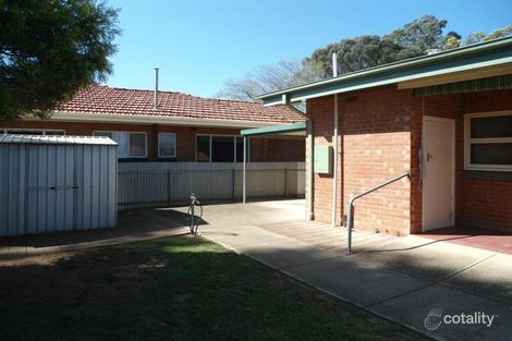 Property photo of 36 Collingwood Street Risdon Park SA 5540